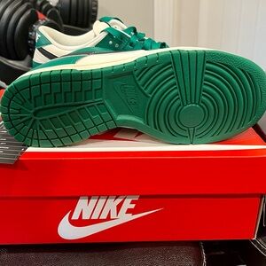 Nike Dunk Low Retro Special Edition